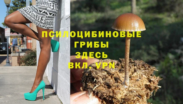 тгк Строитель