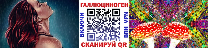где купить   Канск  Галлюциногенные грибы мухоморы 